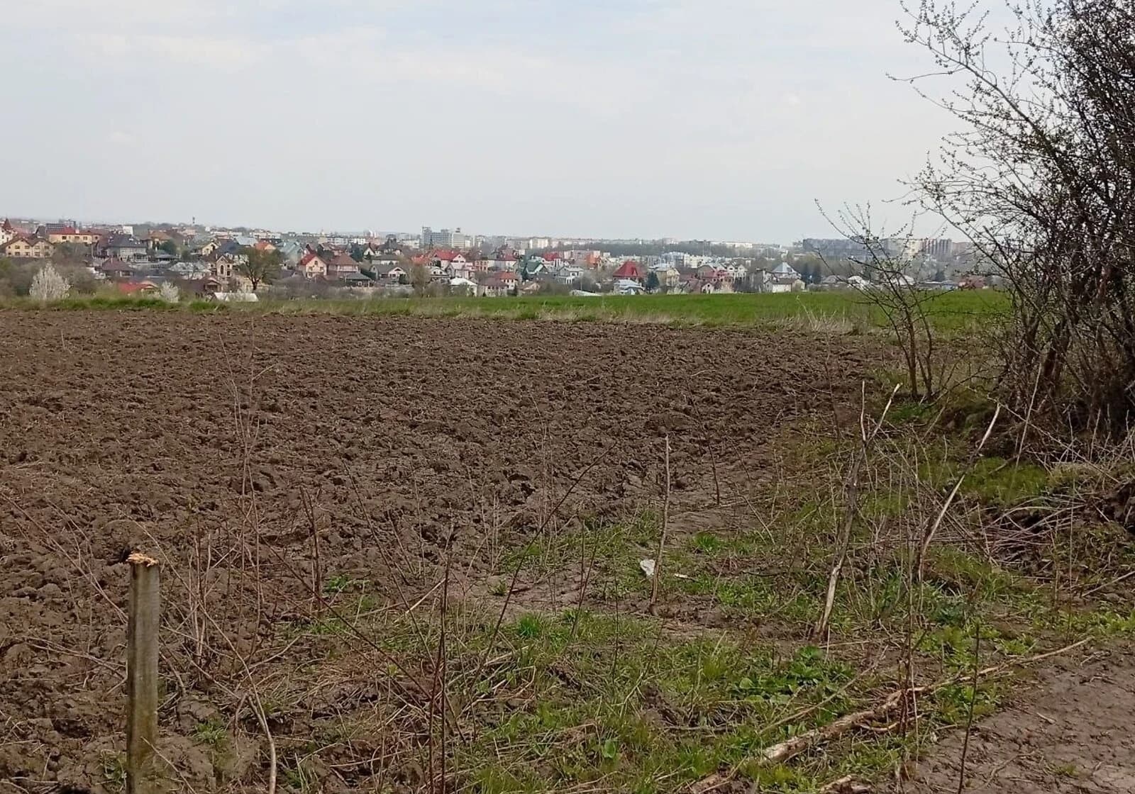Ділянка 19.37 соток, Великий Кучурів: чорнозем, електрика - фото 5