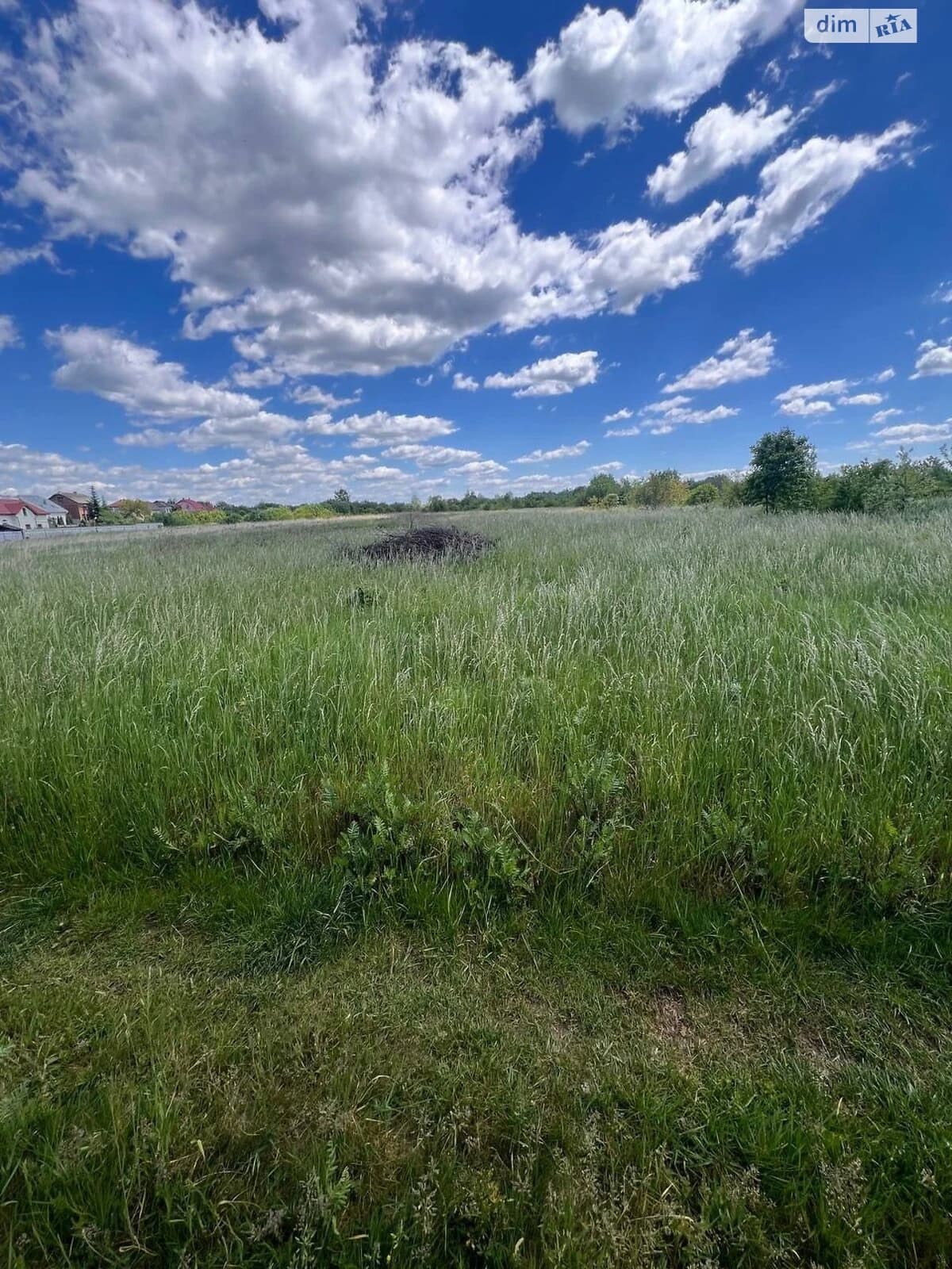 Ділянка 12,5 соток, Крихівці: житлова забудова, криниця - фото 5