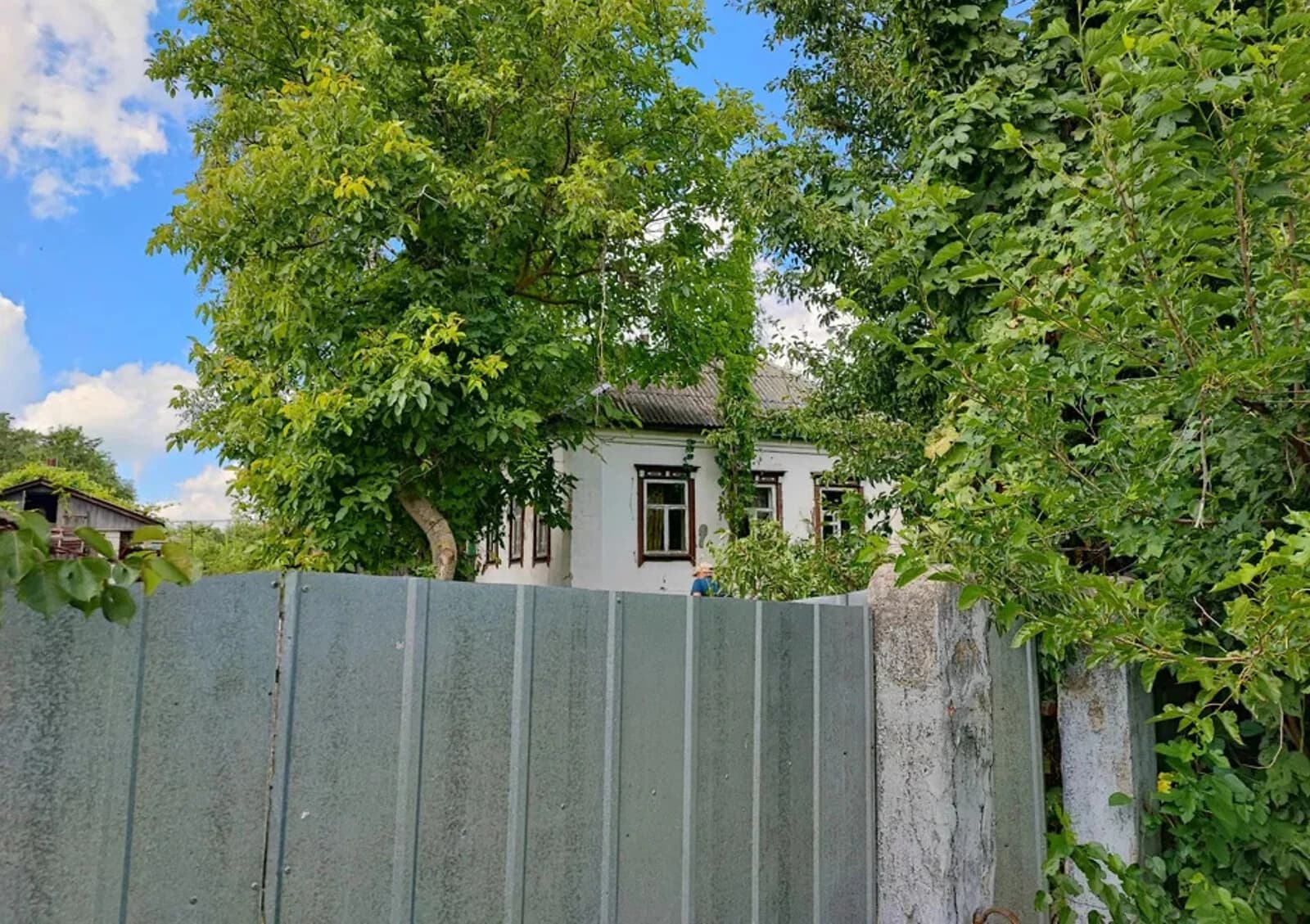 Будинок, Підлипне: гараж у дворі, город і літня кухня - фото 4