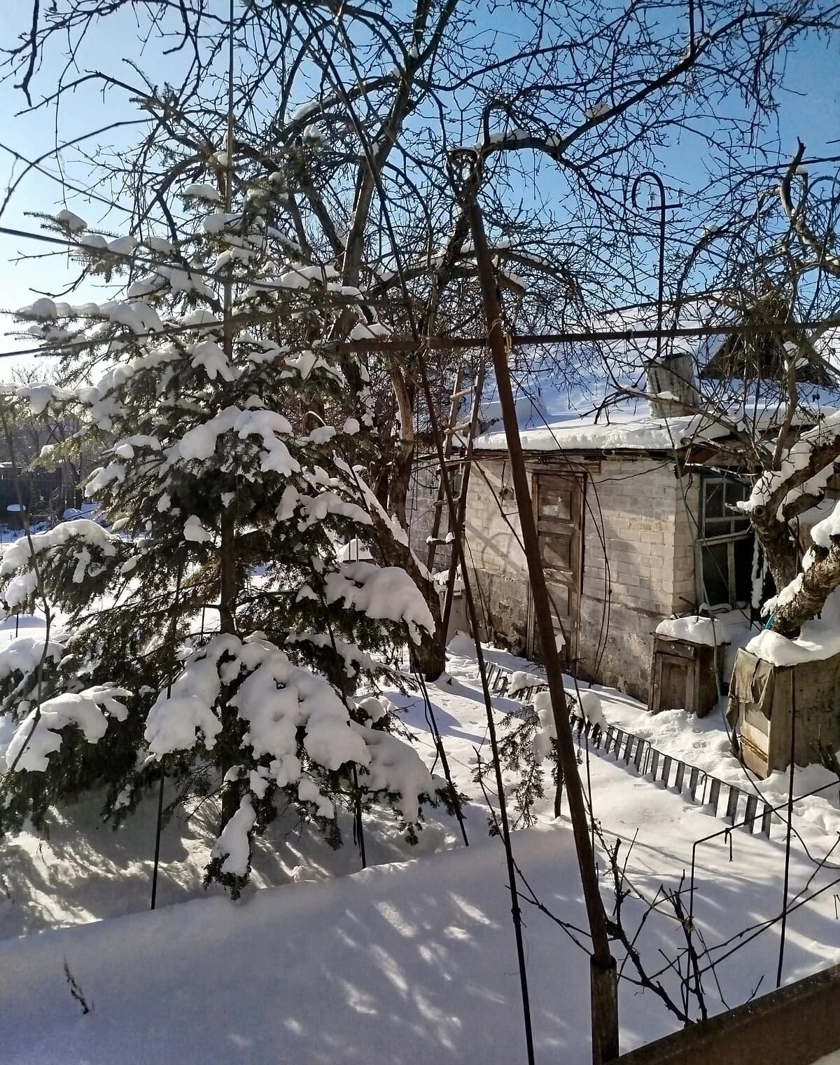 Будинок, Амур: веранда, ділянка - фото 5