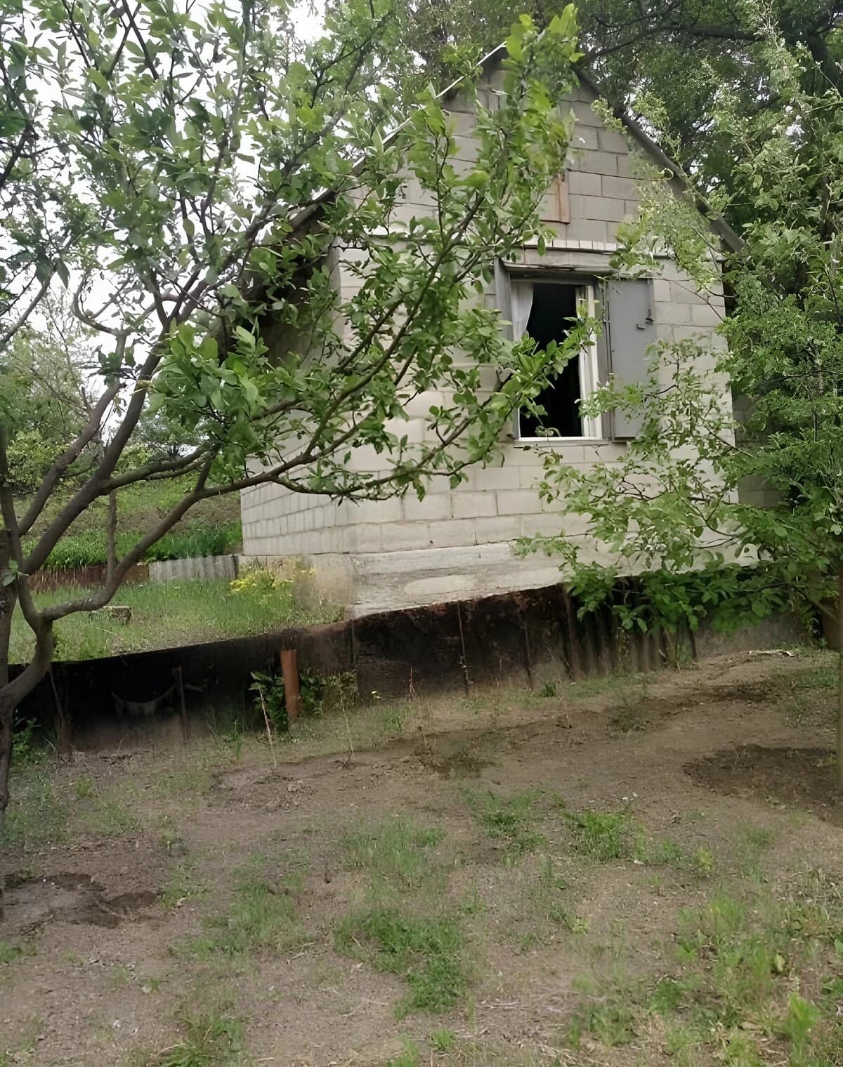 Дача, Августинівка: ділянка 6 соток, сад і город