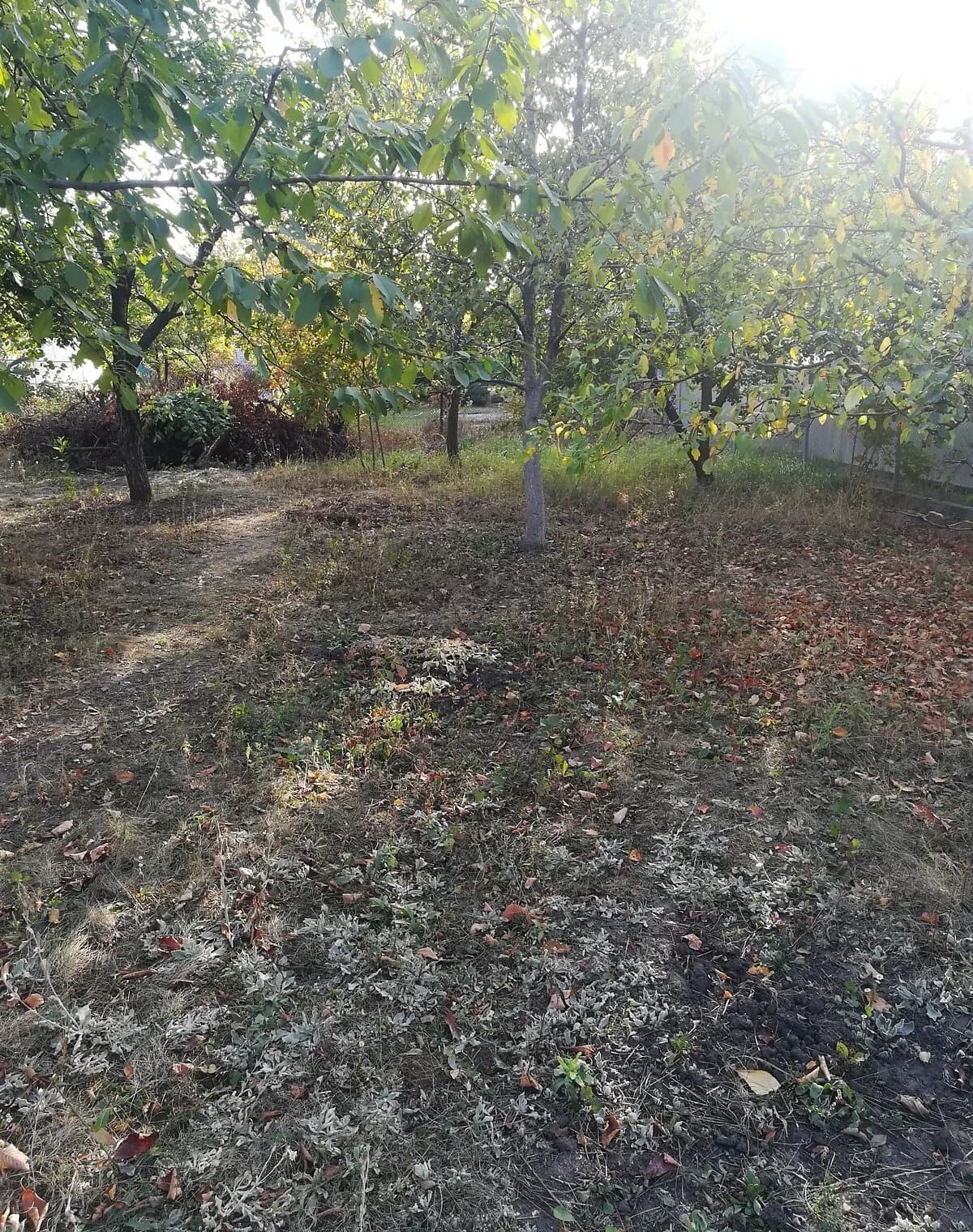Ділянка 4,6 соток, Підгороднє: сад і паркан, чорнозем - фото 3