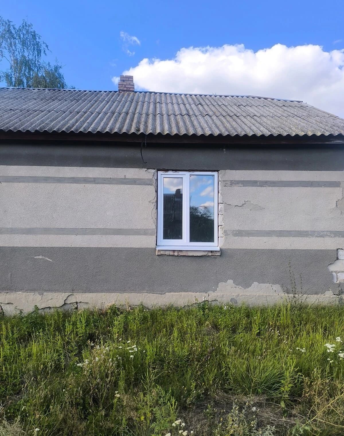 Будинок, Лобачів: 12 соток, господарські будівлі та погріб - фото 4