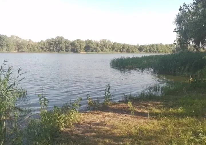 Дача, Власівка: вода за хвилину, річка, цегляний сарай - фото 2