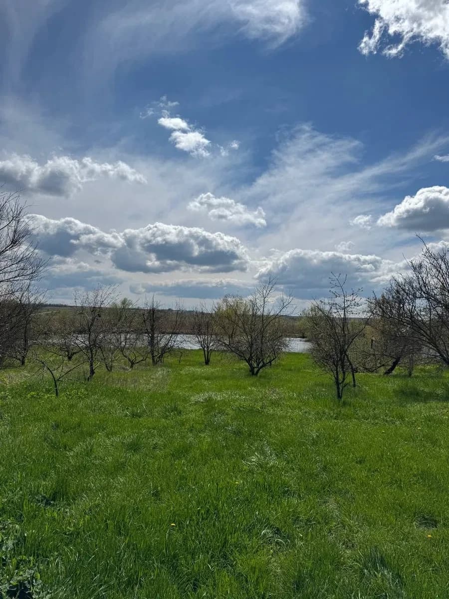 Будинок, Дмитрівка: власне озеро, піщаний пляж, оглядова вишка - фото 2