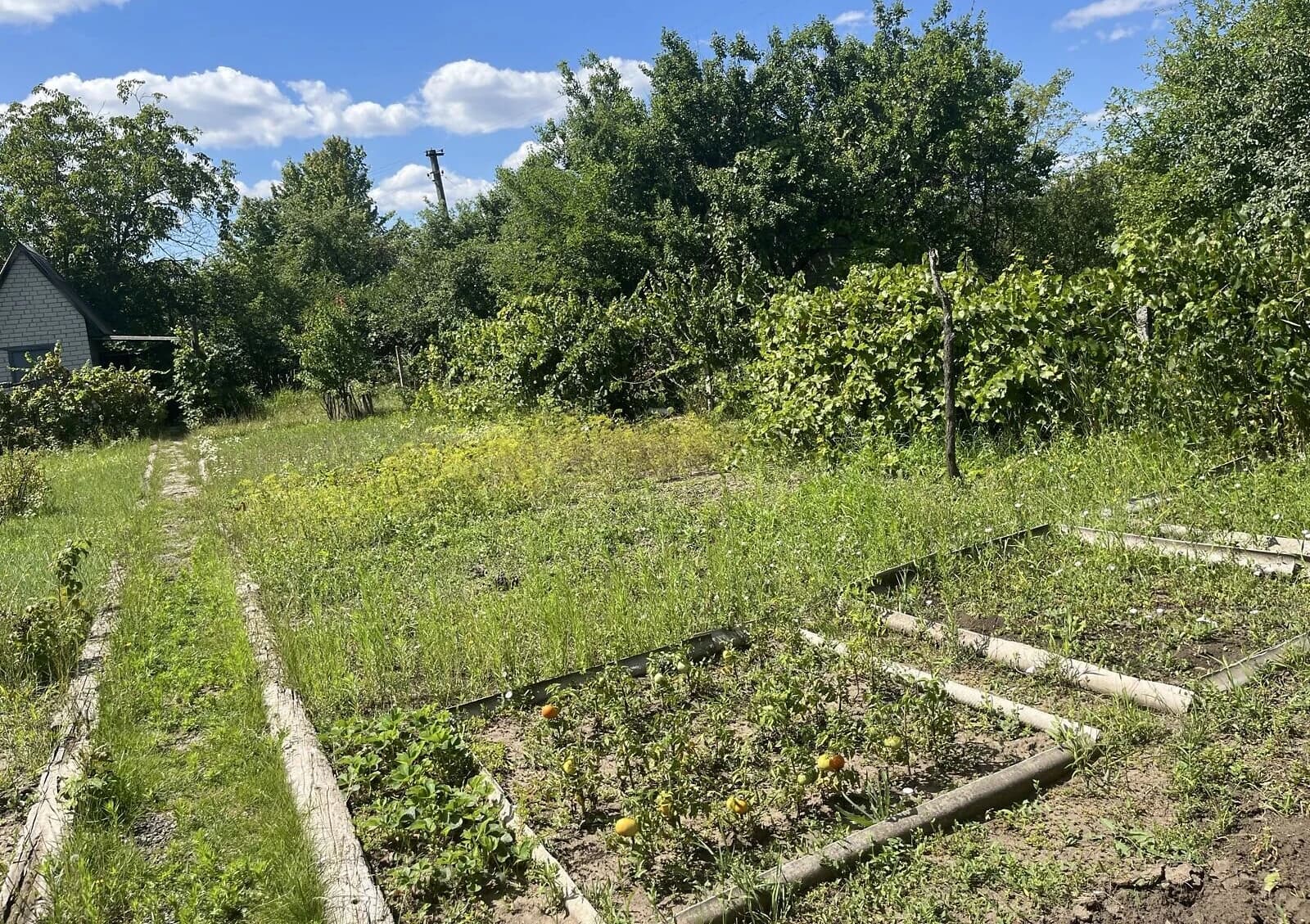 Дача, Кулебівка: бесідка, свердловина, централізоване опалення - фото 4