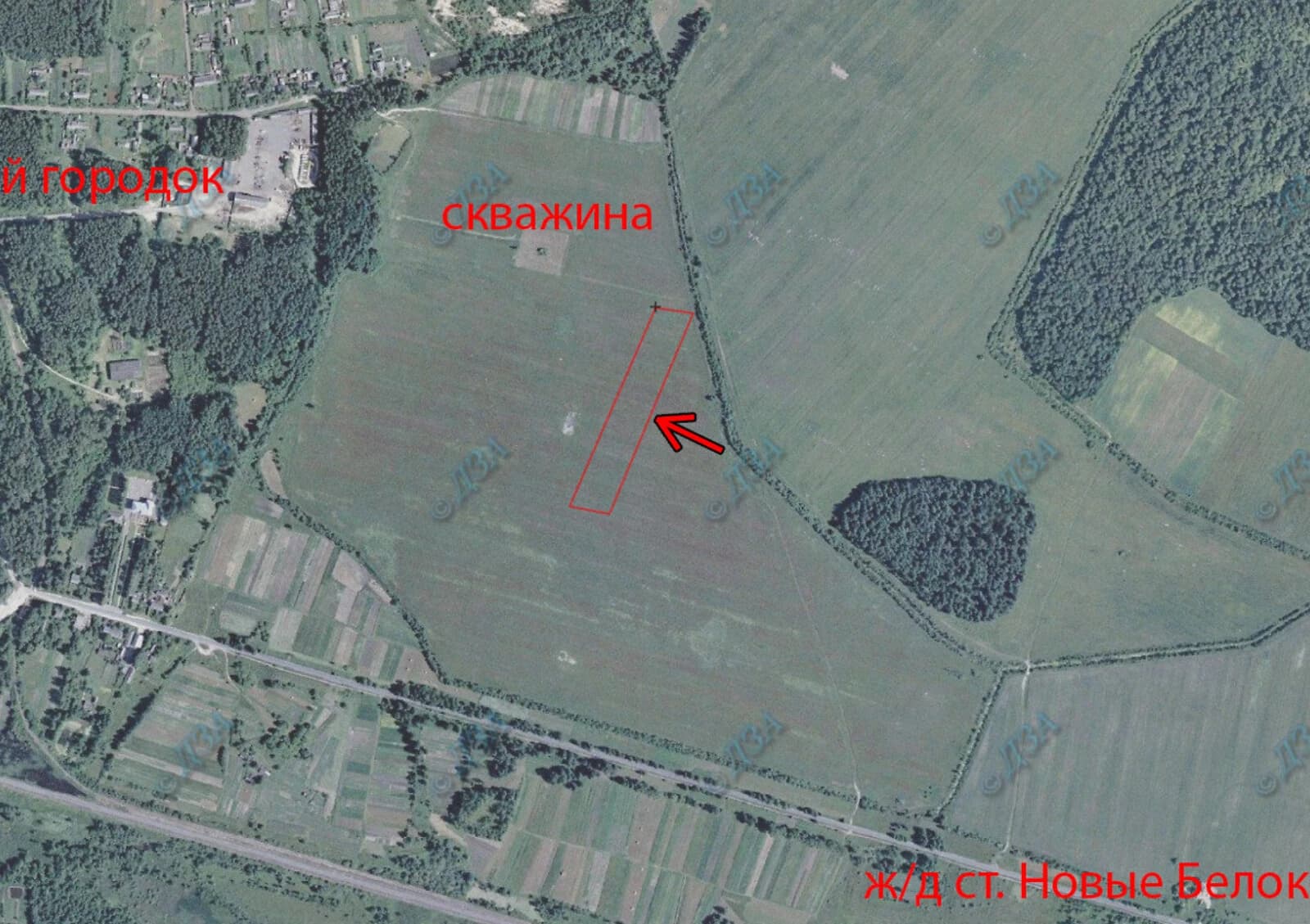 Ділянка, Нові Білокоровичі: сільськогосподарське призначення