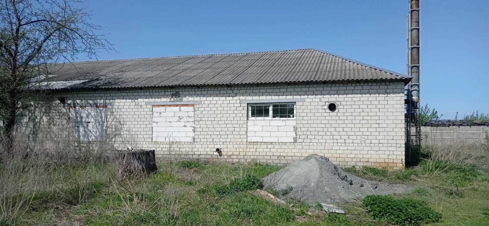 Завод, Сунки: лінія дерев’яних шпателів, власна котельня