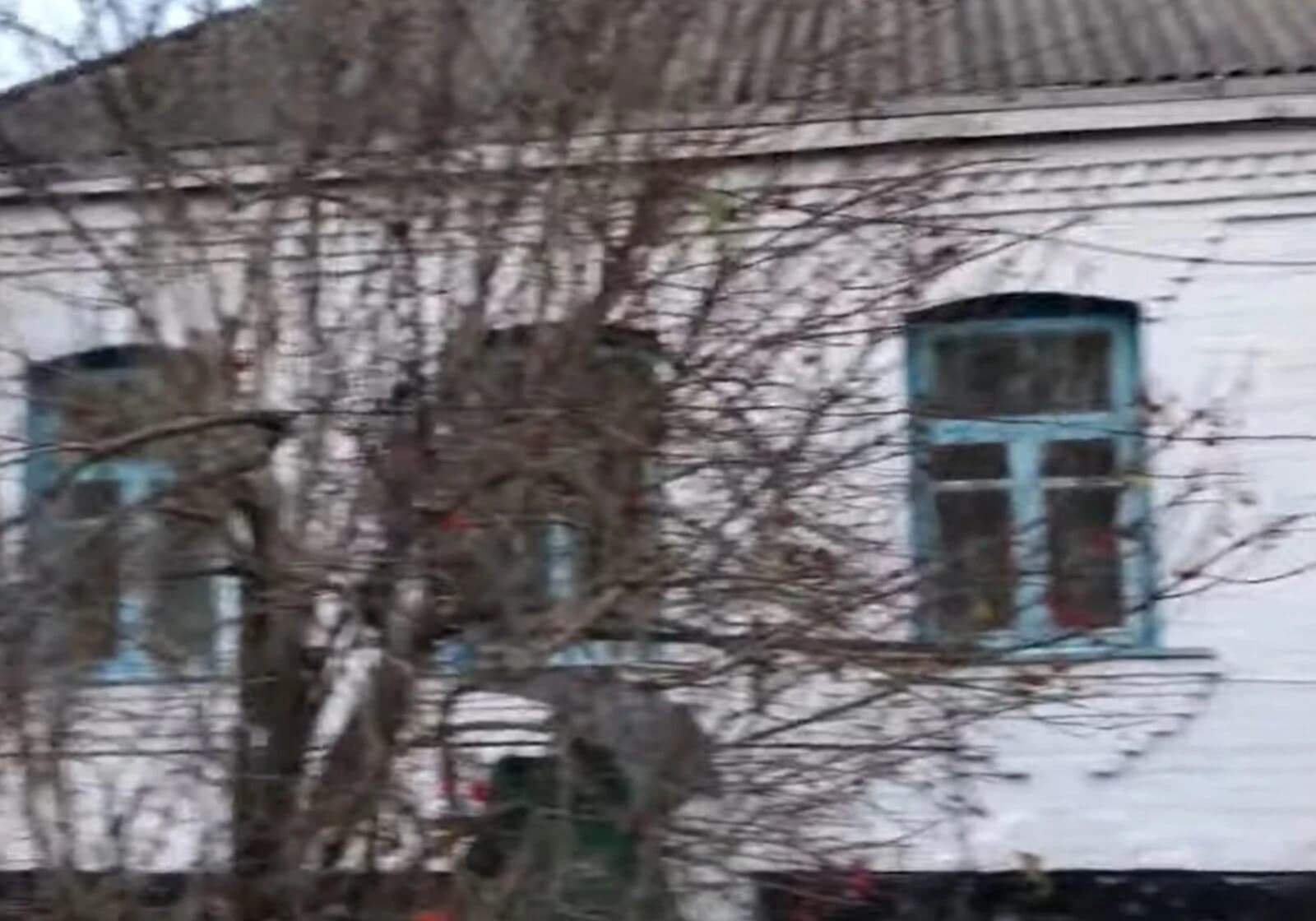 Будинок, Ржищів: веранда, 16 соток, єВідновлення