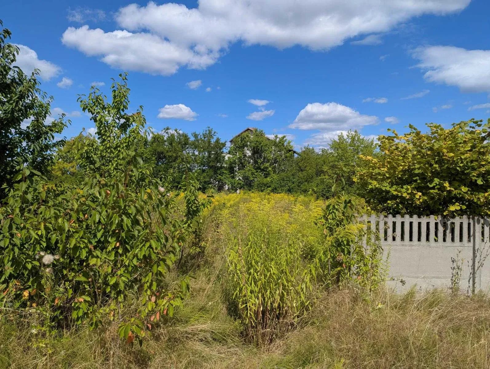 Ділянка 102 соток, Рославичі: фасадна, недобудований будинок - фото 3