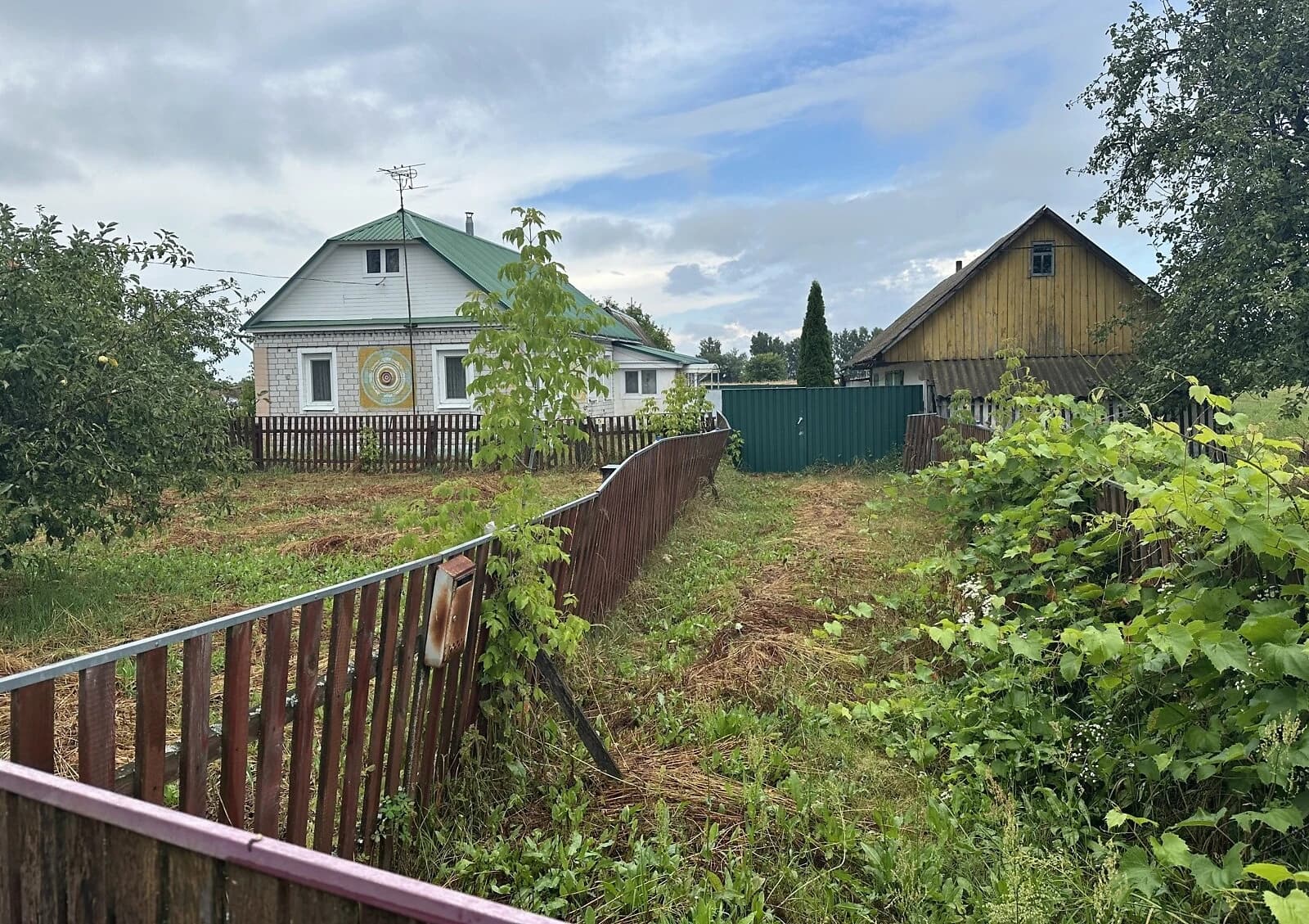Будинок, Йосипівка (Малин): криниця, 25 соток, літня кухня - фото 4