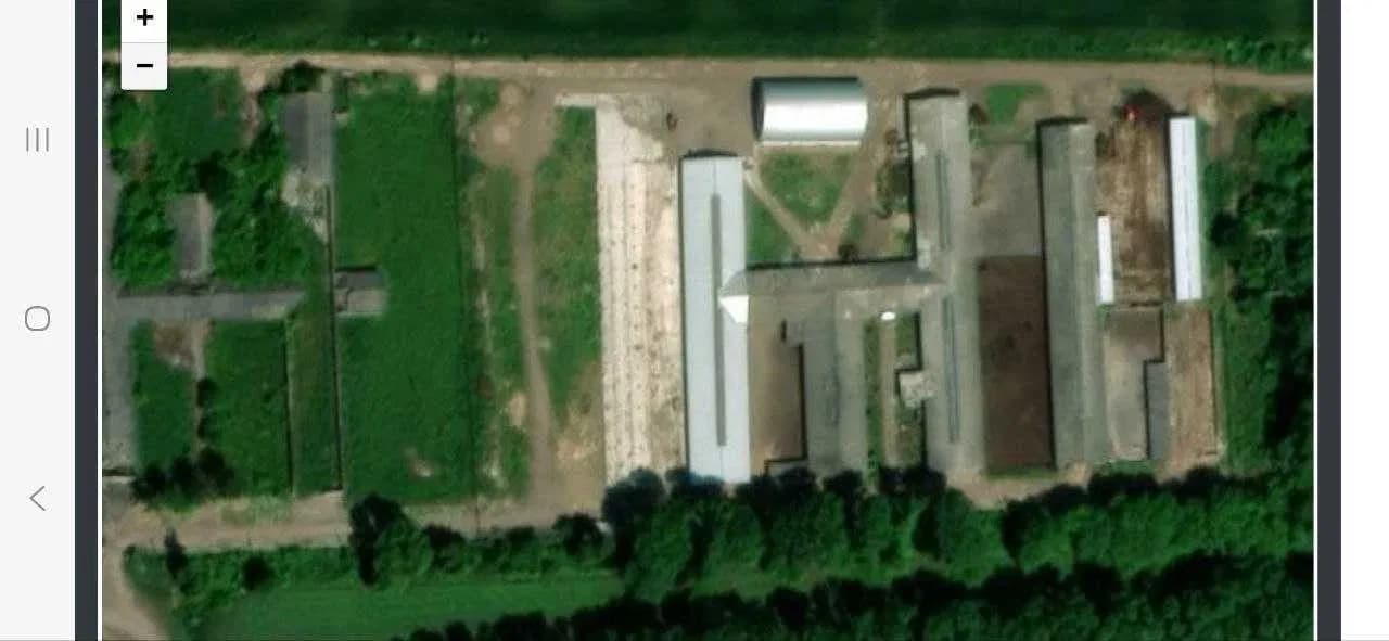 Ферма у Вінниці: 4 корівники, проєкт розширення на 1000 голів - фото 3