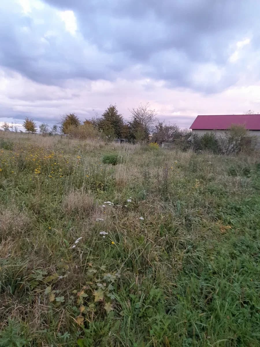 Ділянка 40 соток, Ричагів: траса Т 14-25, 10 км до Миколаєва - фото 3