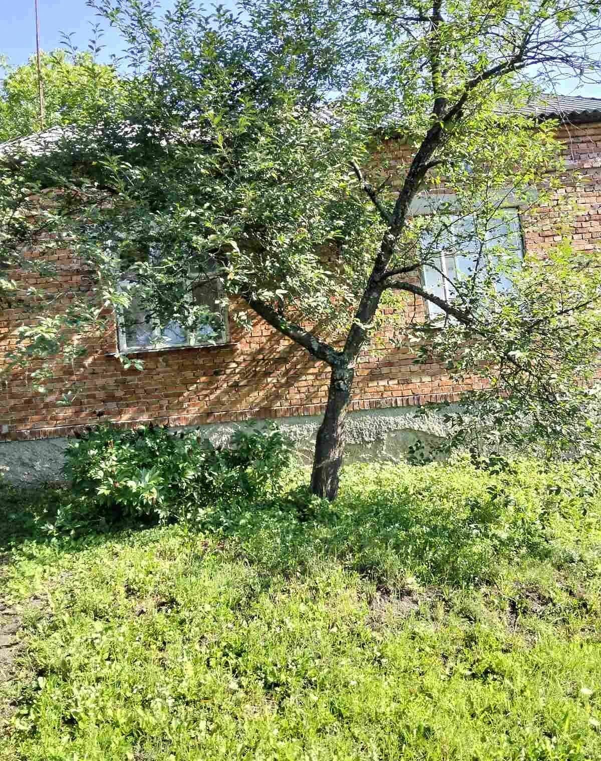 Будинок, Дроздовичі (Старий Самбір): веранда, сад, криниця - фото 4