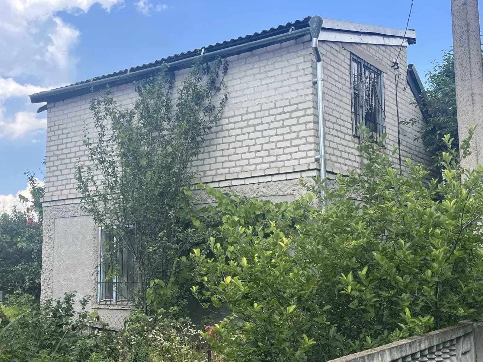 Дача, Куліші: біля соснового лісу та озера, 5 соток - фото 3