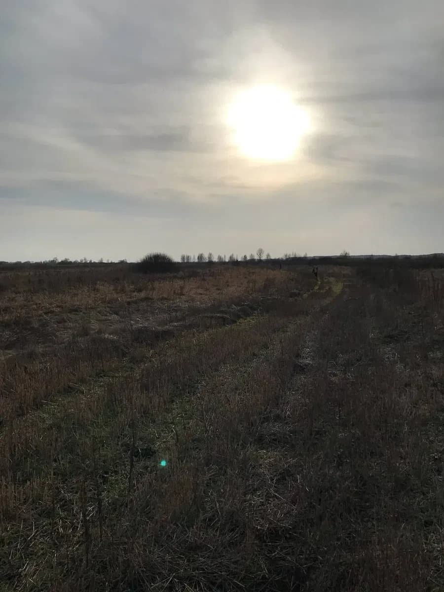 Ділянка 109 соток, Нижча Дубечня: між Десною та Дніпром - фото 3