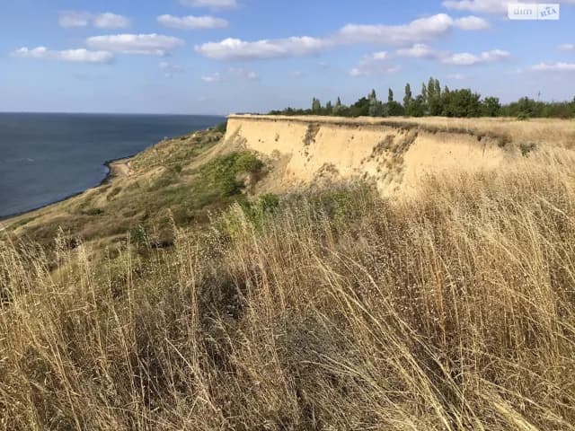 Ділянка 25 соток, Рибаківка: сад, басейн, електрика