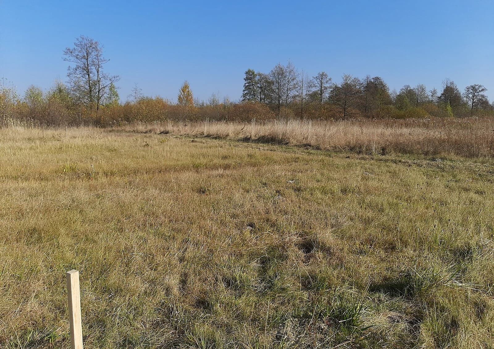 Ділянка 10 соток, Березівка (Житомир): під житлову забудову, під гараж - фото 3