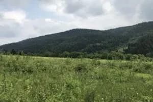 Ділянка 650 соток, Княжпіль: комерційне призначення, 4 км до кордону - фото 4