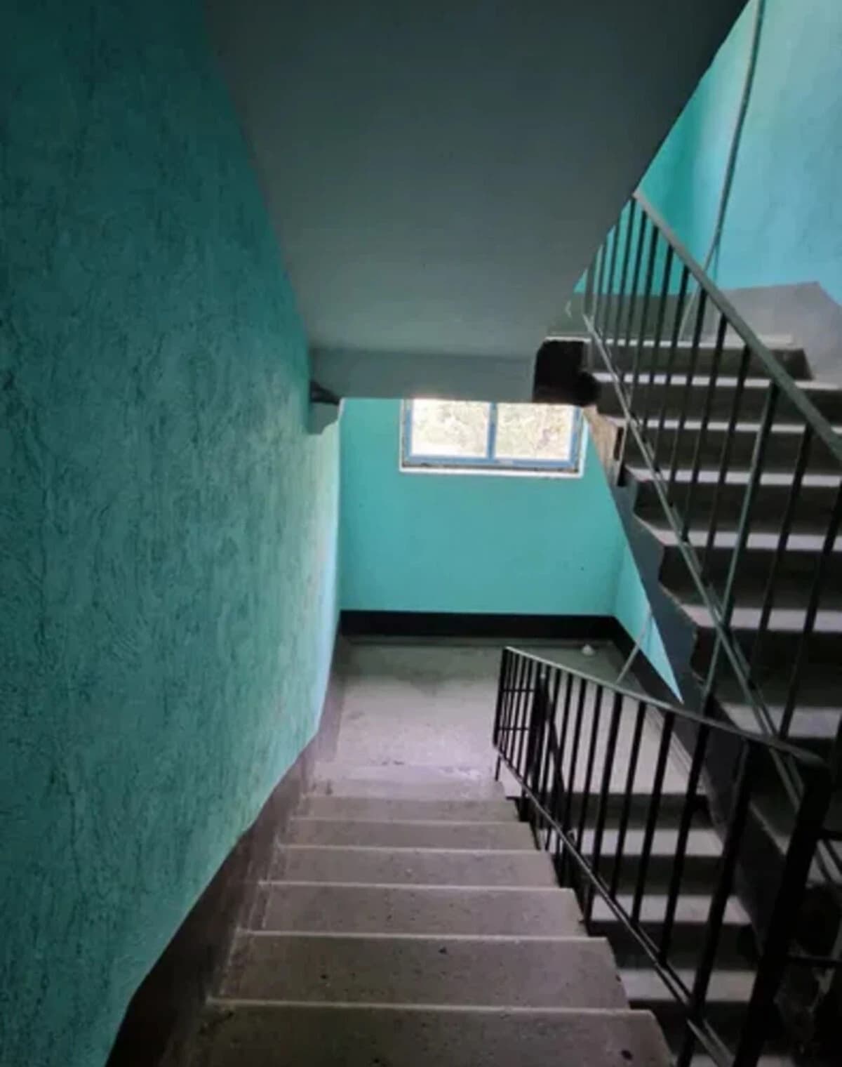 2-кімнатна квартира, Довгинцівський: новий ремонт, балкон - фото 5