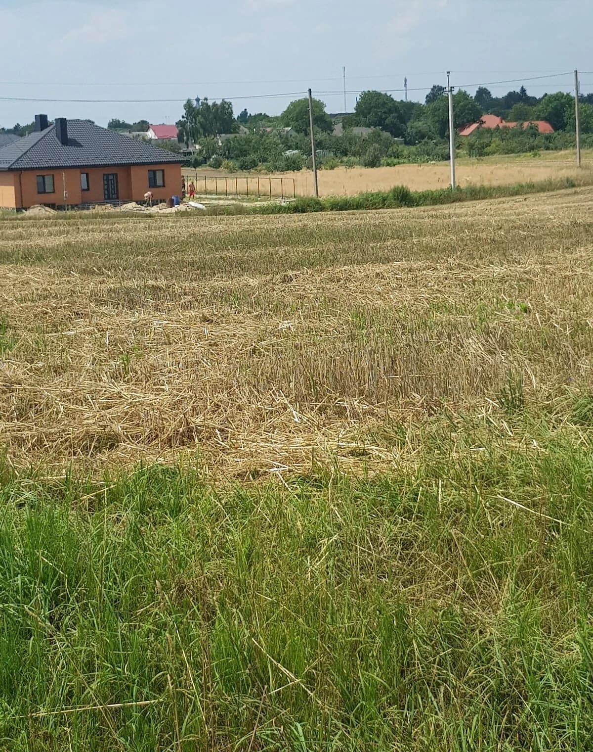 Ділянка 18.46 соток, Копачівка: під житлову забудову, електрика - фото 5
