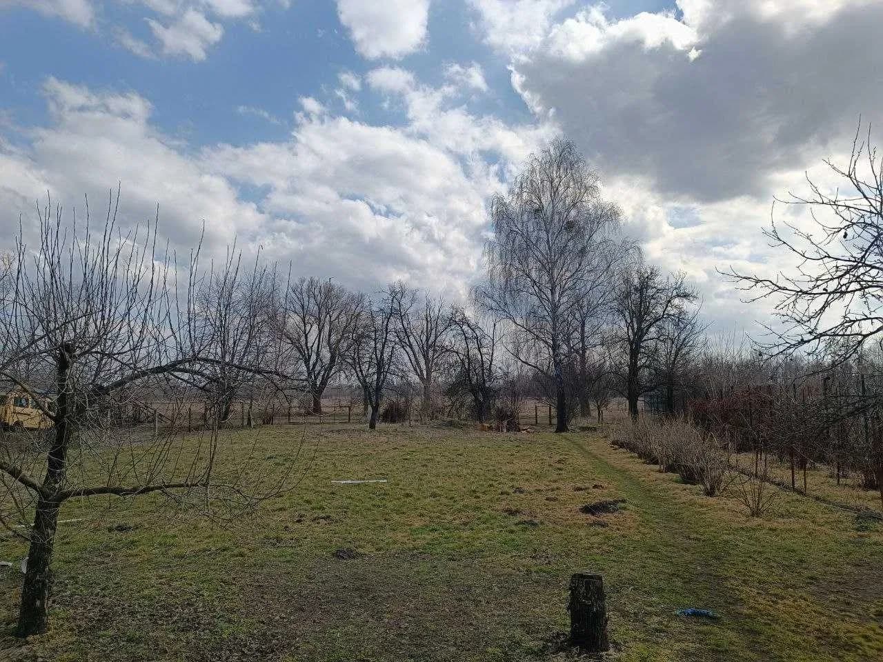 Ділянка 12.20 соток, Новосілки: вихід на луг, річка Десна поруч - фото 3