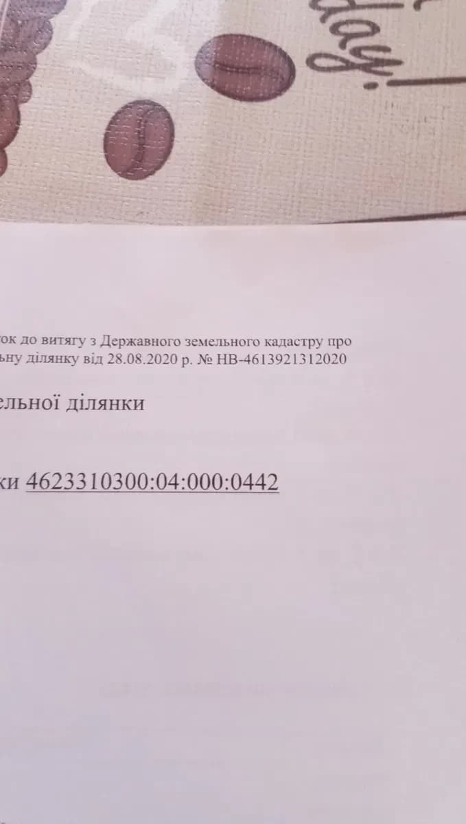 Ділянка 50 соток, Шпильчина: світло за 500 м, ліс за 1 км - фото 1