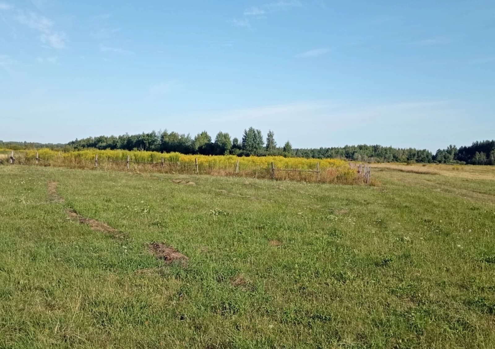 Ділянка 12 соток, Івашківка: під житлову забудову, чорнозем - фото 3
