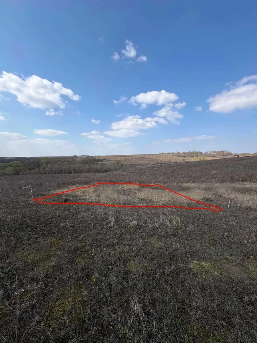 Ділянка 0.60 соток у масиві «Королівський»: світло, обмін - фото 1