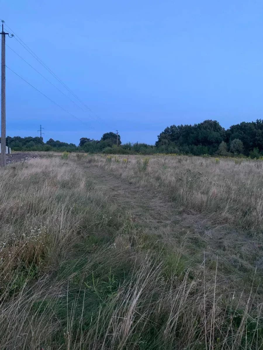Ділянка 13 соток, Верхній Коропець: під житлову забудову, ліс поруч - фото 2