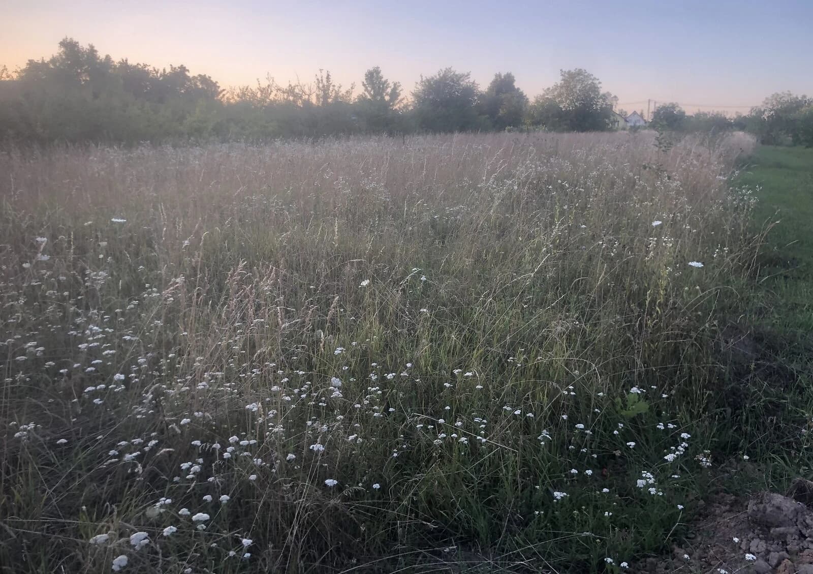 Ділянка 19,22 сотки, Парпурівці: під житлову забудову, рівнинний рельєф - фото 3