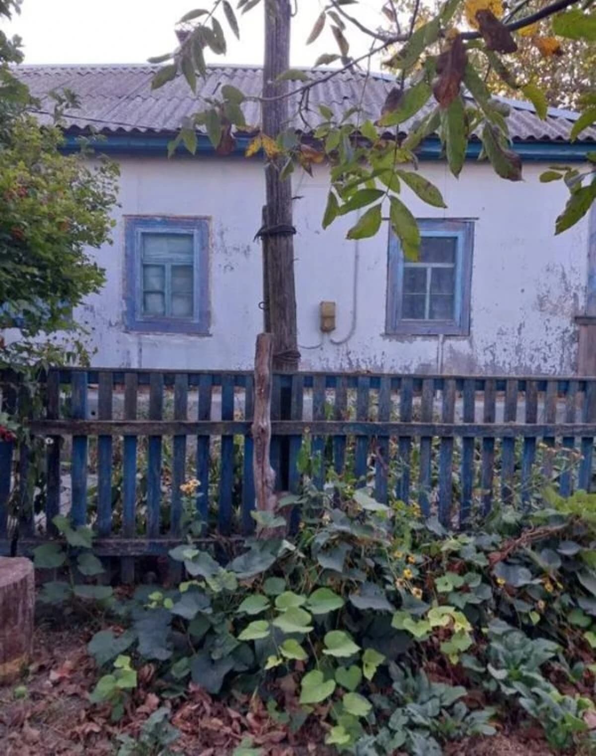 Будинок, Оболоння: гараж, 33 сотки, тераса - фото 1