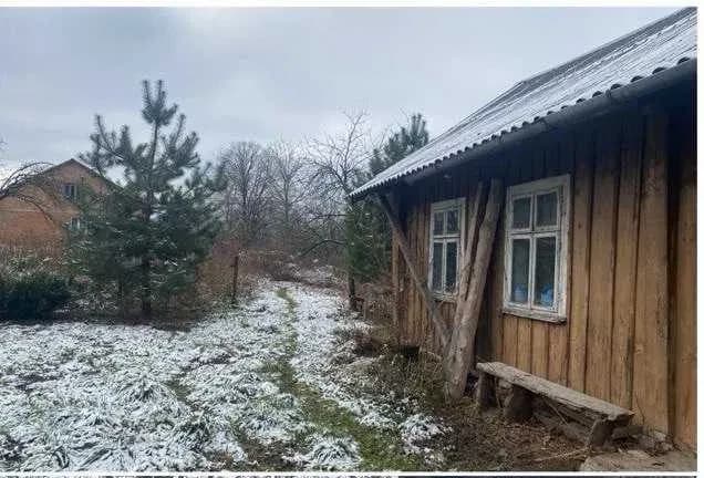 Ділянка 0.33 соток, Бережниця: фруктовий сад, будинок, криниця - фото 4