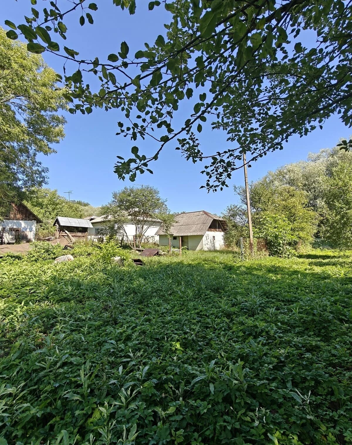 Будинок, Петрилів: гараж із підвалом, 19 соток, 4 спальні - фото 5