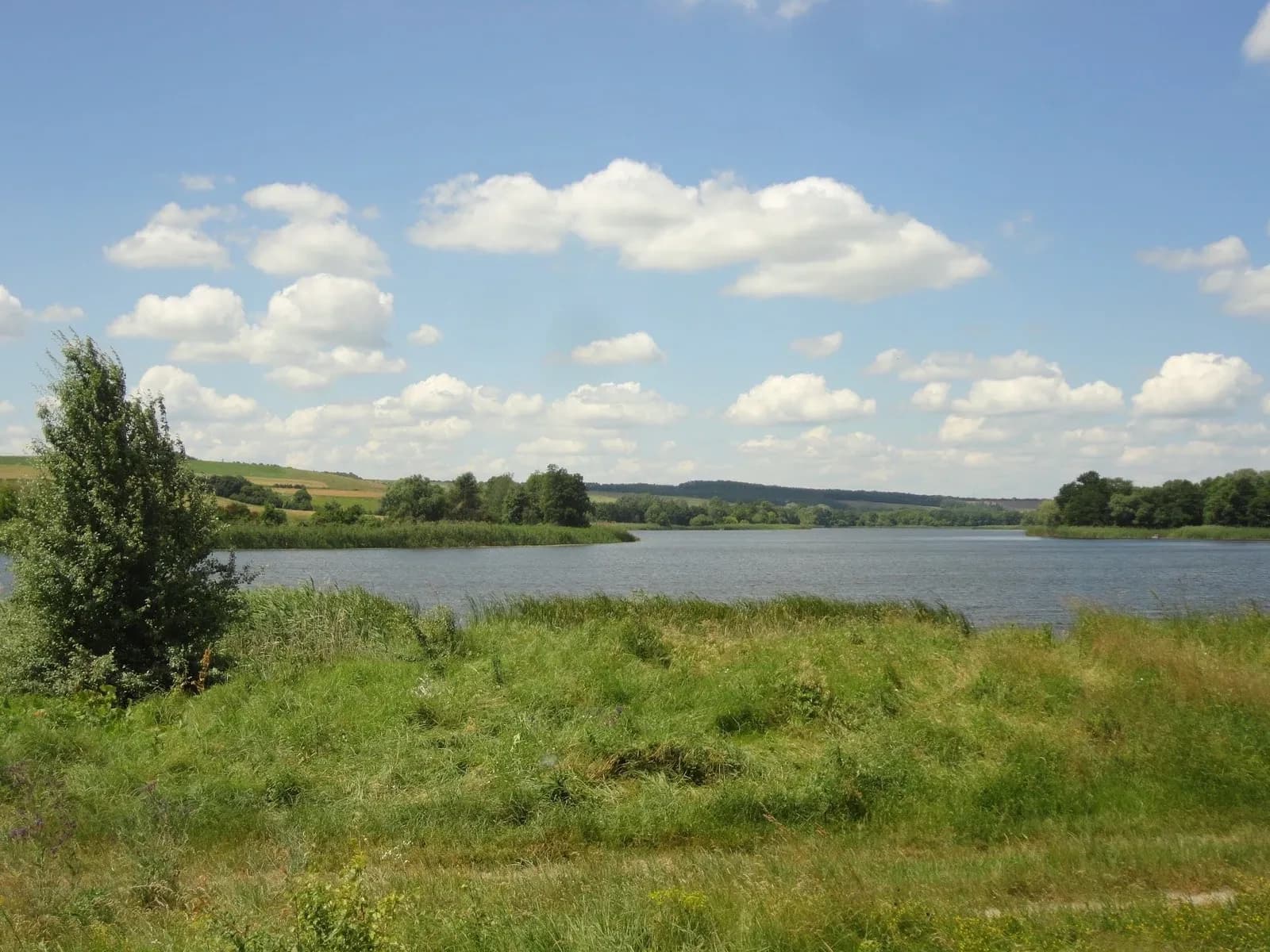 Ділянка 431.25 соток, Хлерівка: річка Рось, оренда берегової смуги - фото 4