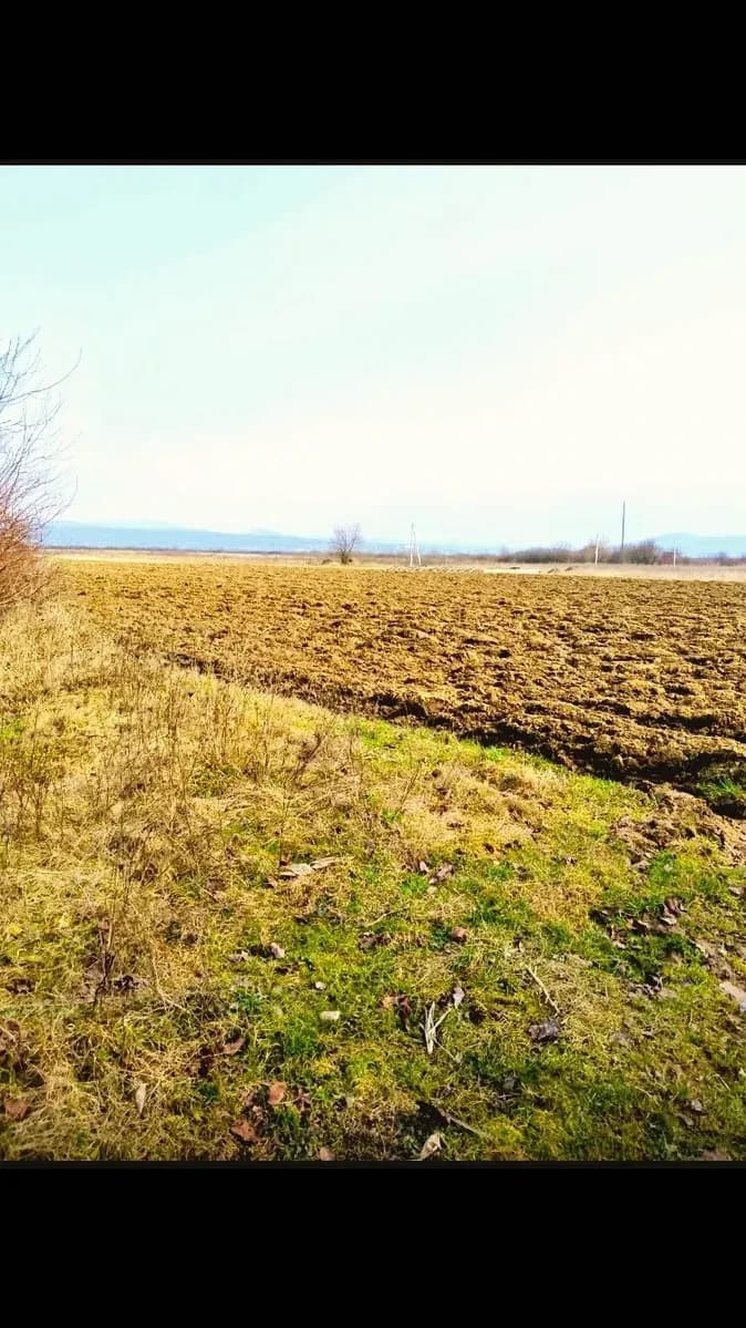 Ділянка 25 соток, Часлівці: під забудову, світло і газ поруч - фото 4