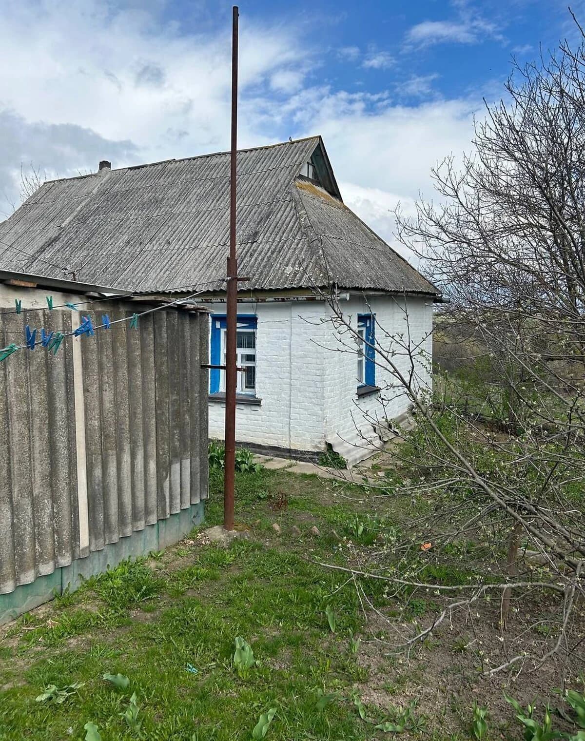 Дача, Квітки: літня кухня, сад, криниця - фото 2