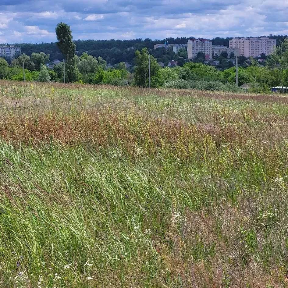 Ділянка 128 соток, Гостомель: під будівництво, панорамний вид, електрика - фото 2