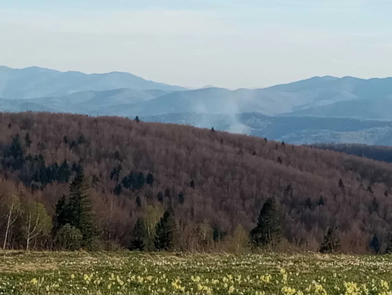 Ділянка 930 соток, Орів: межує з лісом і річкою, 800 м над рівнем моря - фото 2