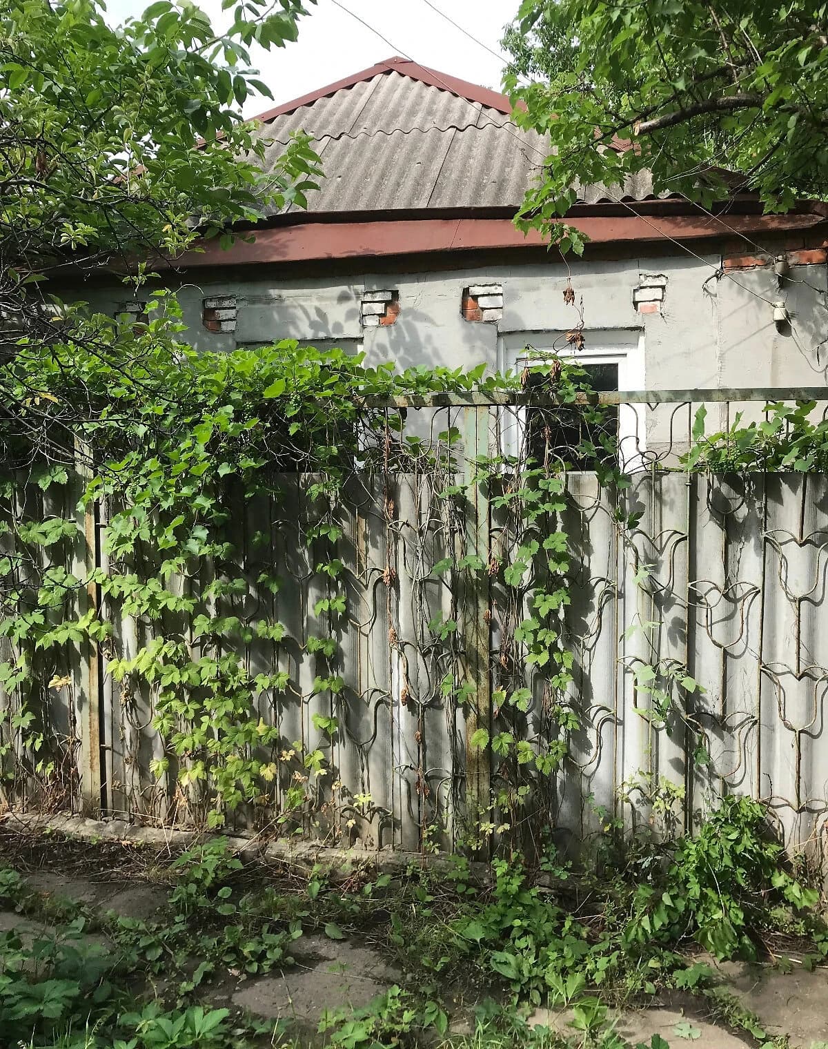 Будинок, Східний: гараж, город і єВідновлення - фото 1