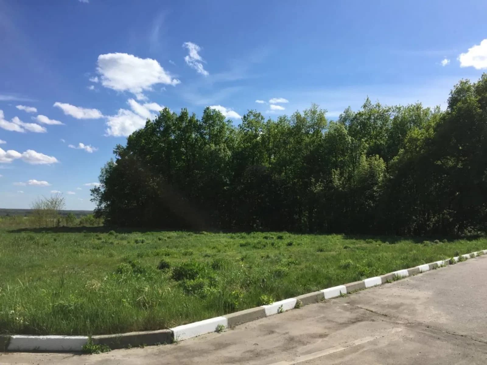 Дві ділянки 45 соток, Високий: дубовий ліс, 300 м до «Сохо» - фото 2