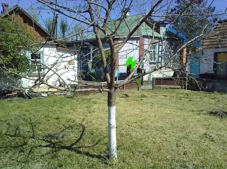 Будинок, Пичугине: 15 соток, піч, погріб - фото 5