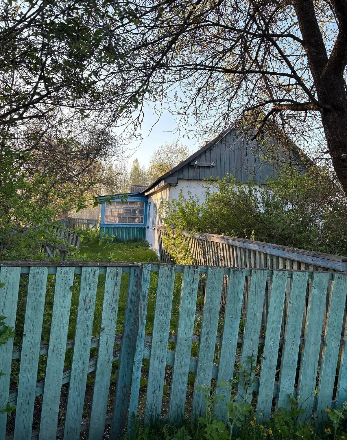 Будинок, Покостівка: 25 соток, зруб, пічне опалення - фото 5