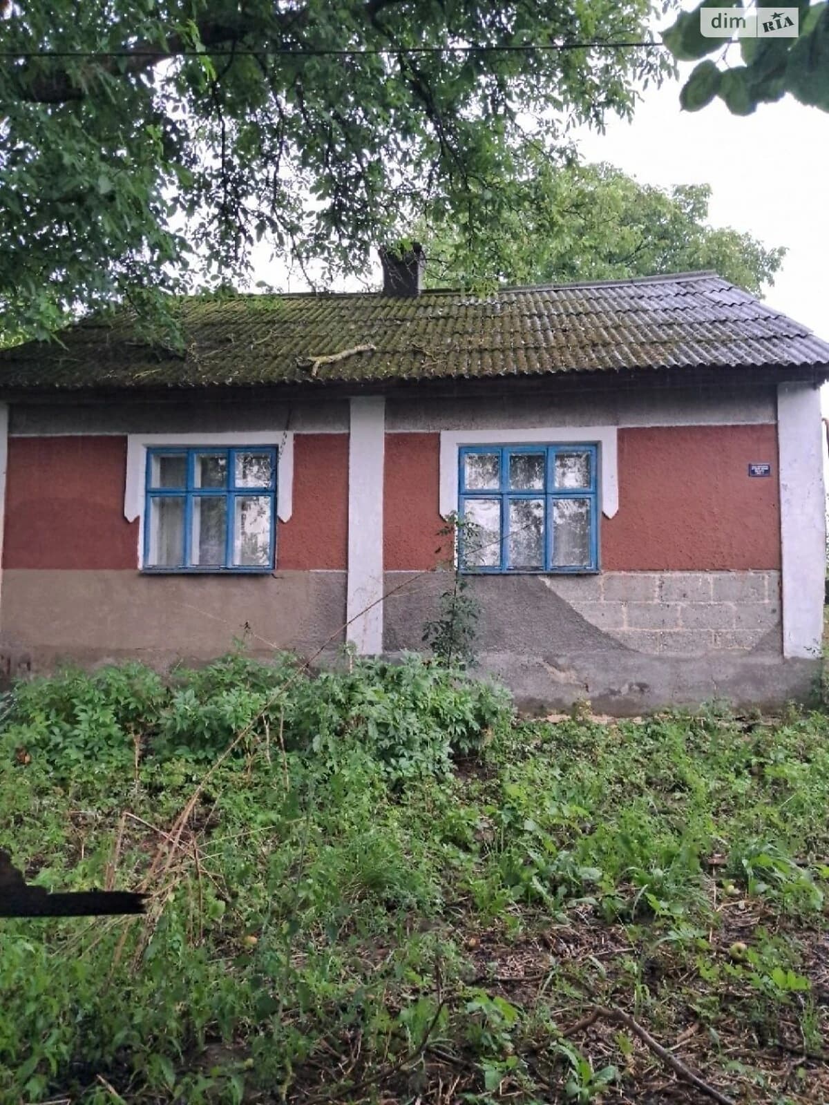 Дача, Боляновичі: цегляні стіни, централізоване опалення