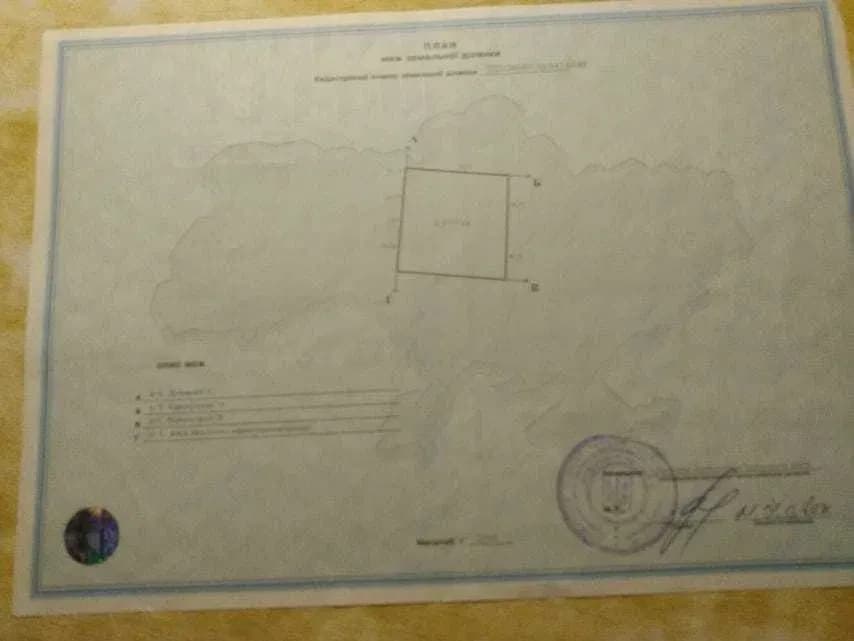 Ділянка 64 сотки, Погреби: під забудову, газ і світло поруч - фото 4