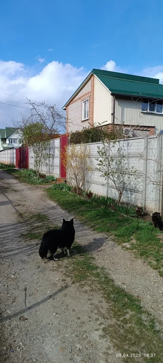 Дача, Новолозоватка: власний пірс, 200 м до водойми, євроремонт - фото 2