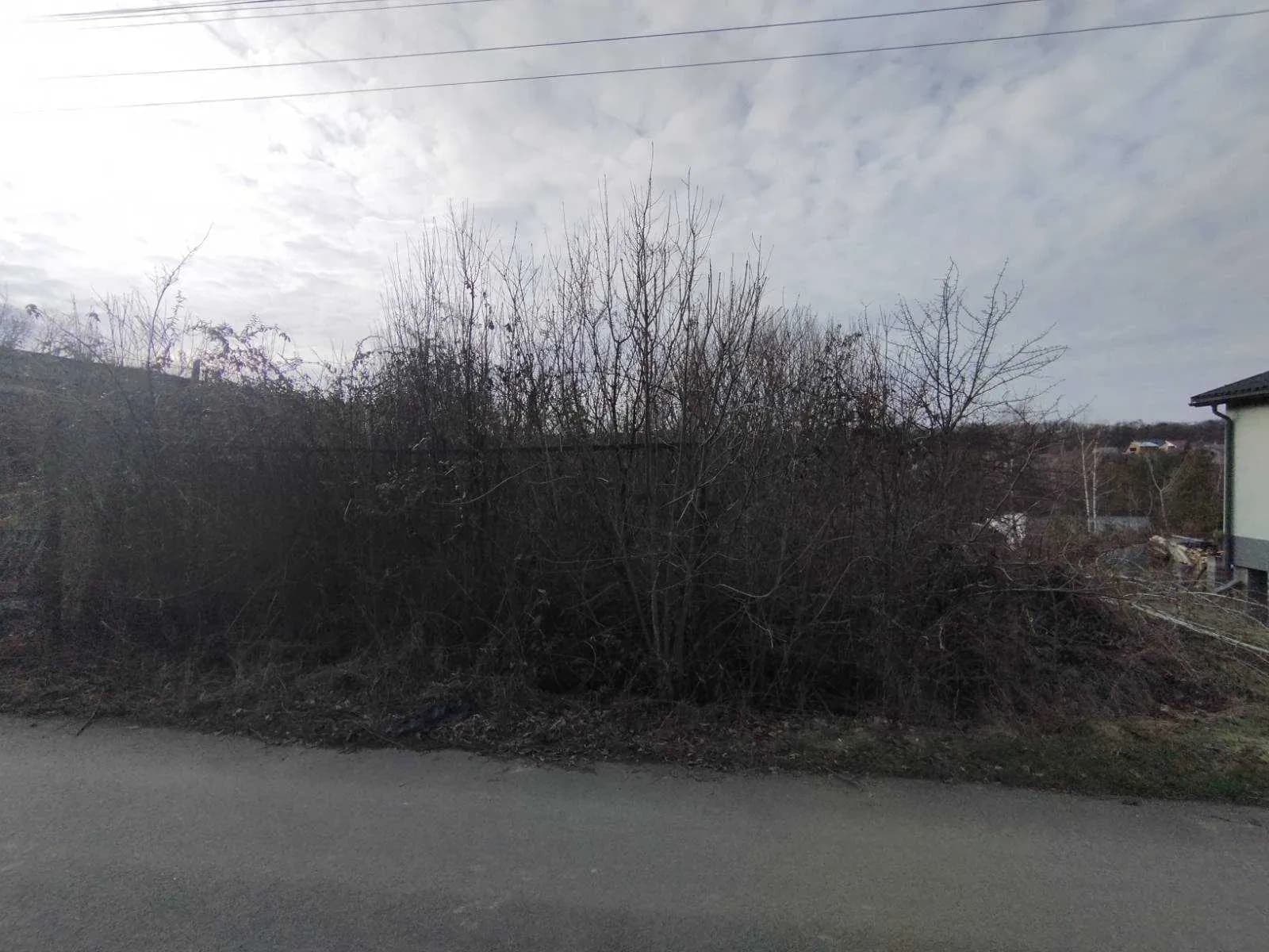 Ділянка 0.05 соток, Оноківці: ліс за 100 м, шлагбаум, торг - фото 2