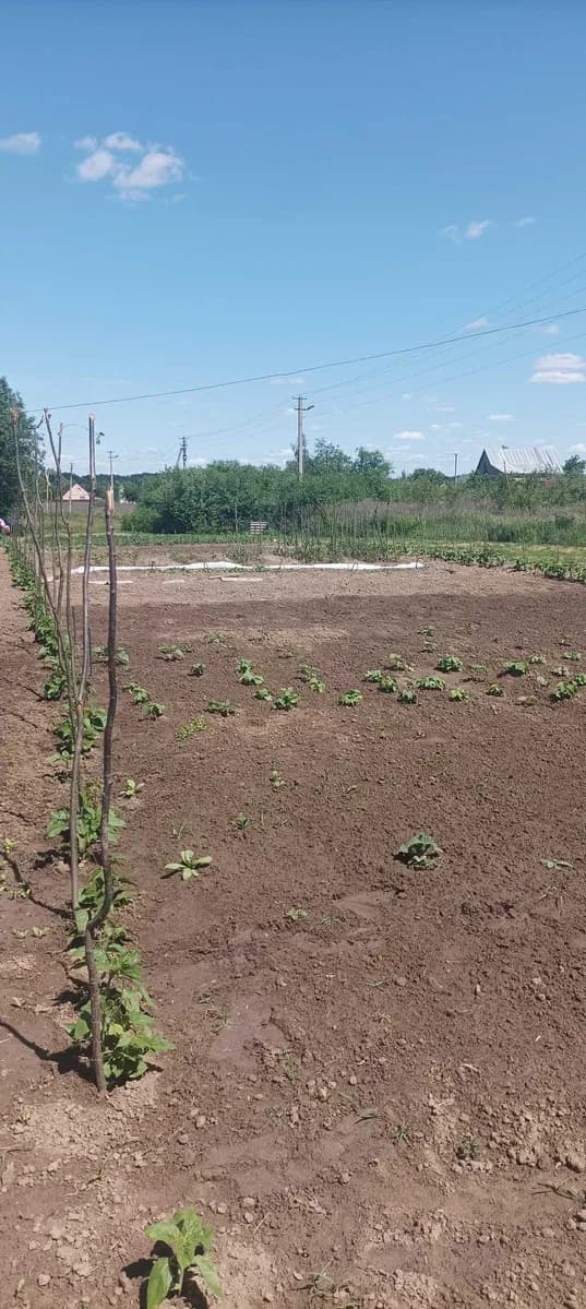 Ділянка 15 соток, хутір Швачиха, смт Баришівка: вагончик, свердловина - фото 3