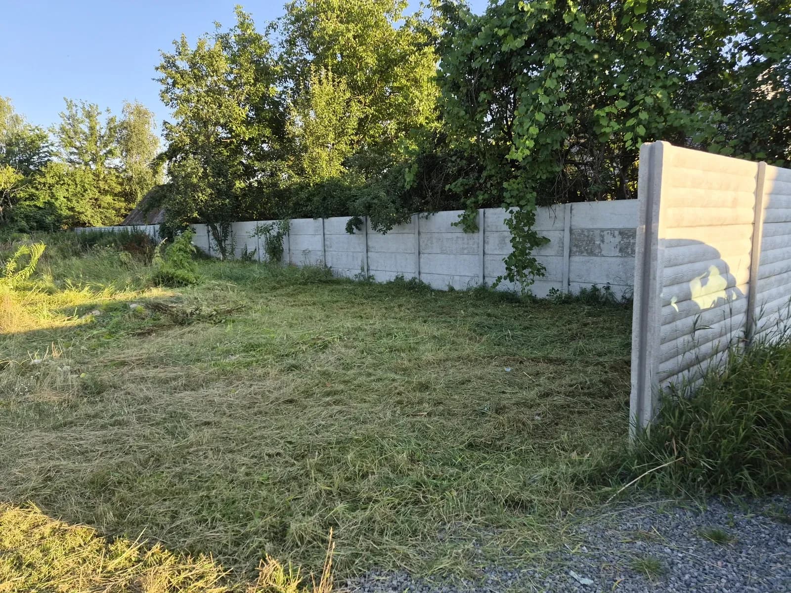 Ділянка 9 соток, Клавдієво-Тарасове: електрика, асфальтована вулиця - фото 4