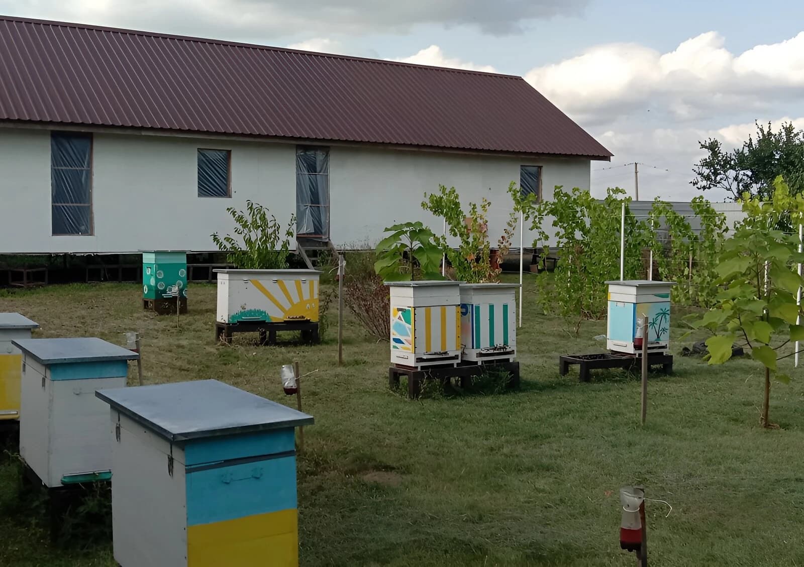 Ділянка 12 соток, Гожули: чорнозем, сад і виноградник